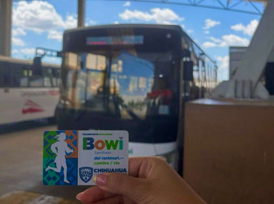 Invitan a consultar dudas o reportes de recargas y tarjetas en el BowíChat