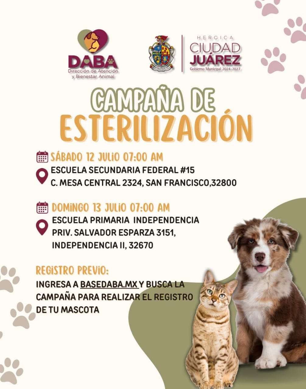 Esterilizarán gratis a mascotas este fin de semana