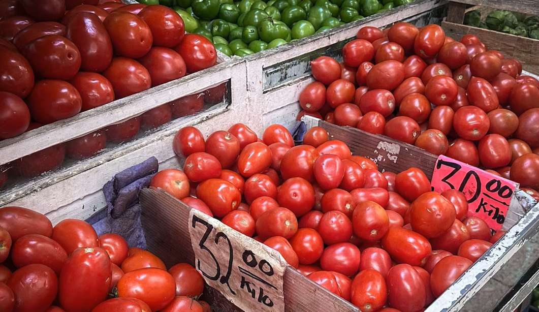 Tomateros mexicanos en vilo: Aplican hoy arancel de 17%
