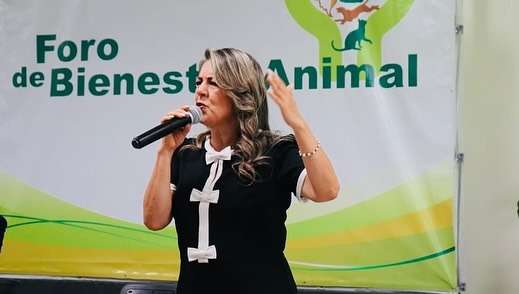LA INICIATIVA