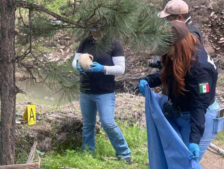 Encuentran cráneo humano durante rastreo en Bocoyna