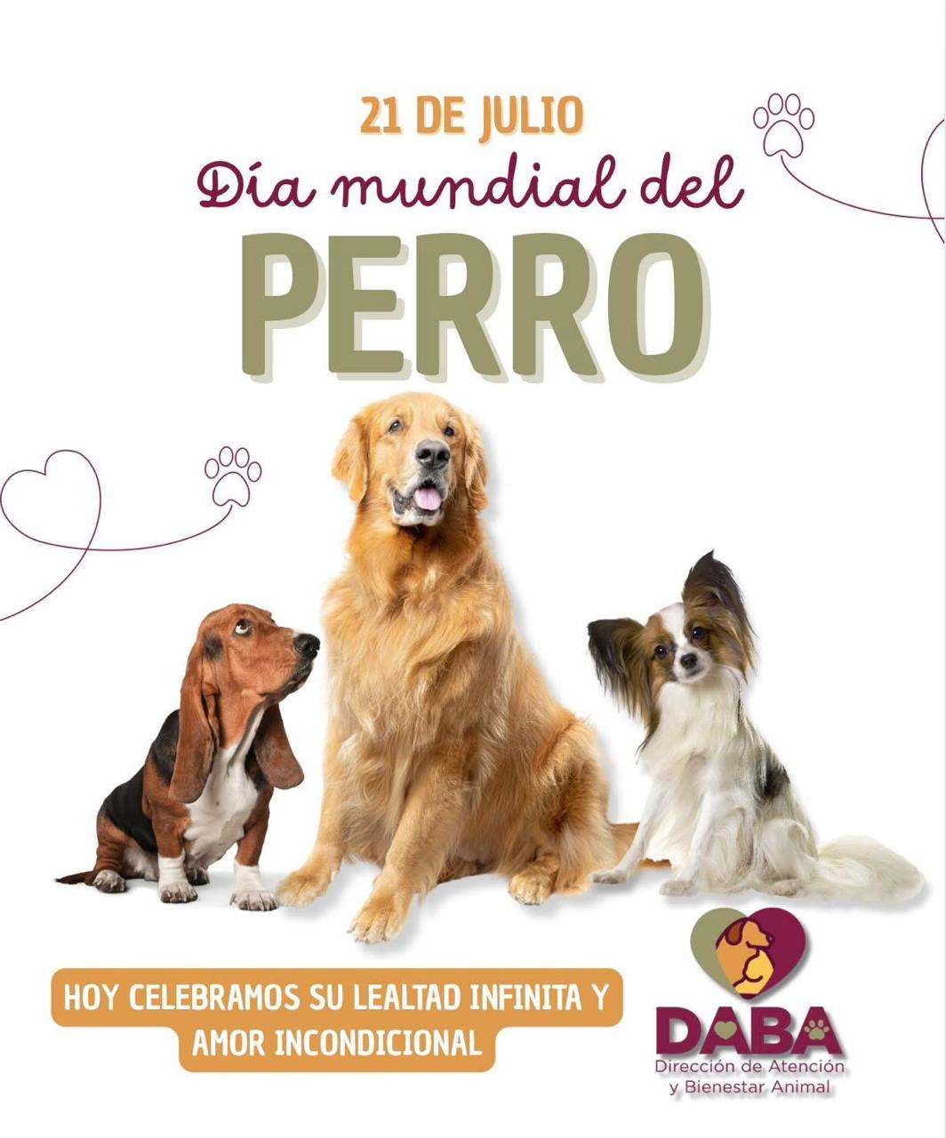 Exhortan a dar buen trato a los canes en el Día Mundial del Perro