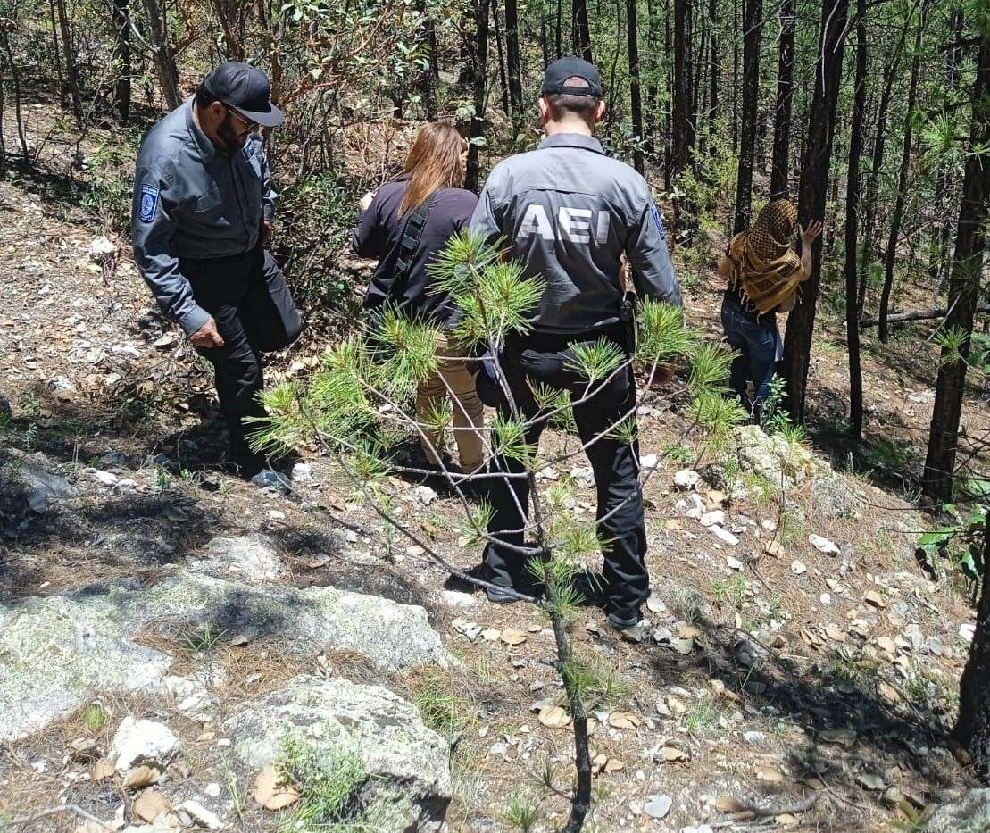 Hallan huesos humanos en una cueva de Bocoyna
