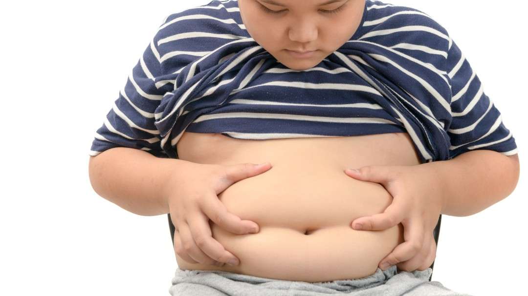 Tienen niños con sobrepeso menos memoria verbal y dificultad para regular emociones
