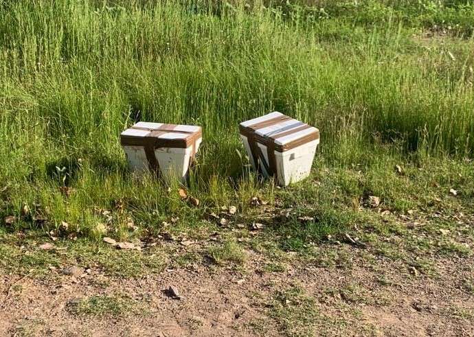 Confirma fiscalía hallazgo de 2 cabezas humanas en Anáhuac