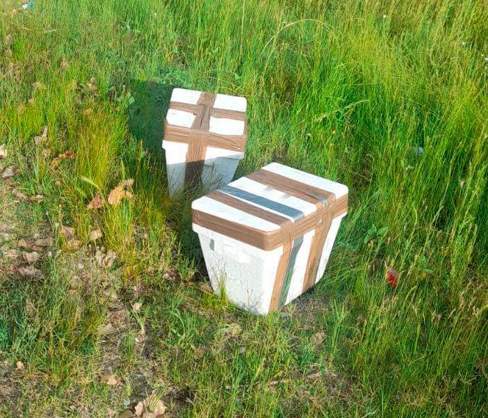 Pintaron GNT en la frente a las 2 cabezas halladas en Anáhuac
