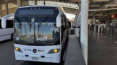Llegan en septiembre primeros 20 autobuses del Bowí