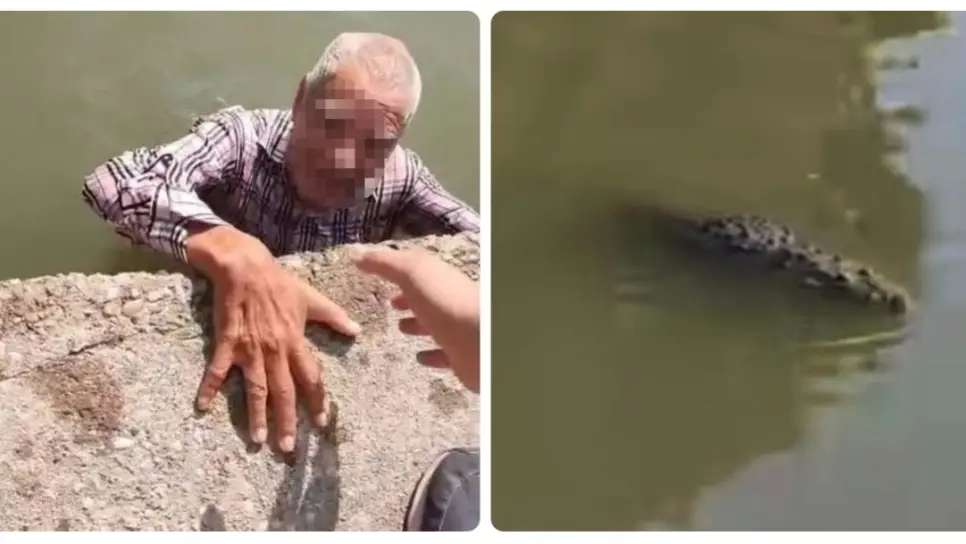 Rescatan a abuelito a punto de ser atacado por un cocodrilo 