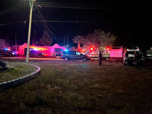 Hallan muerta a ancianita; estaba siendo comida por perros