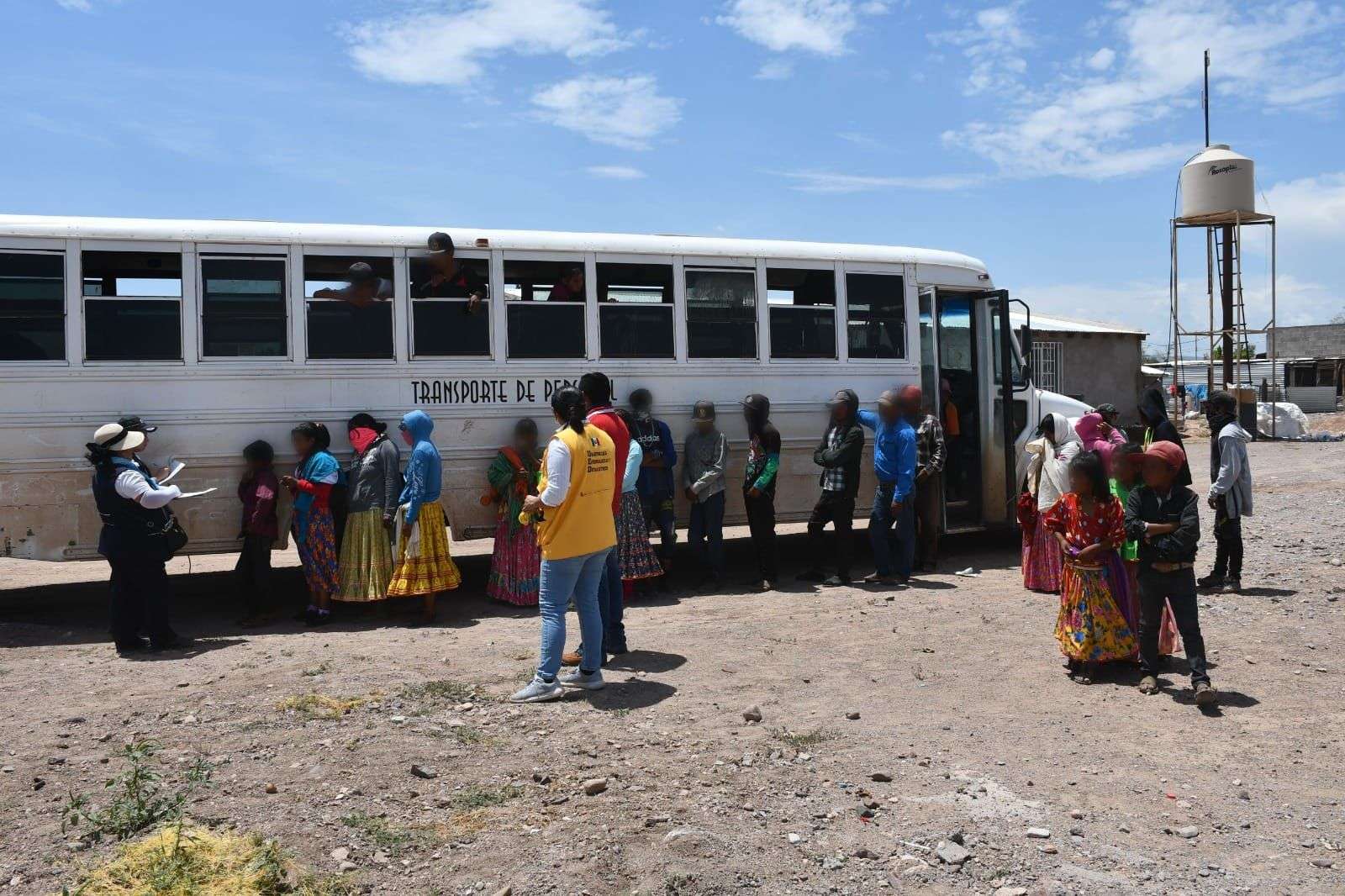 Diversifica estado acciones contra el brote de sarampión 