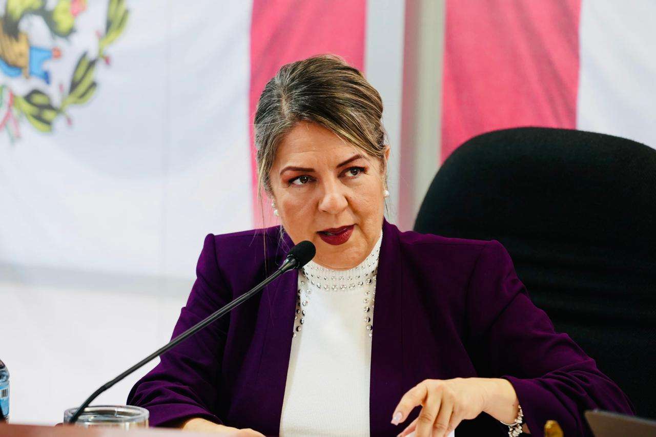 Cuestiona diputada a Rafael Loera por responsabilidad en asilos 