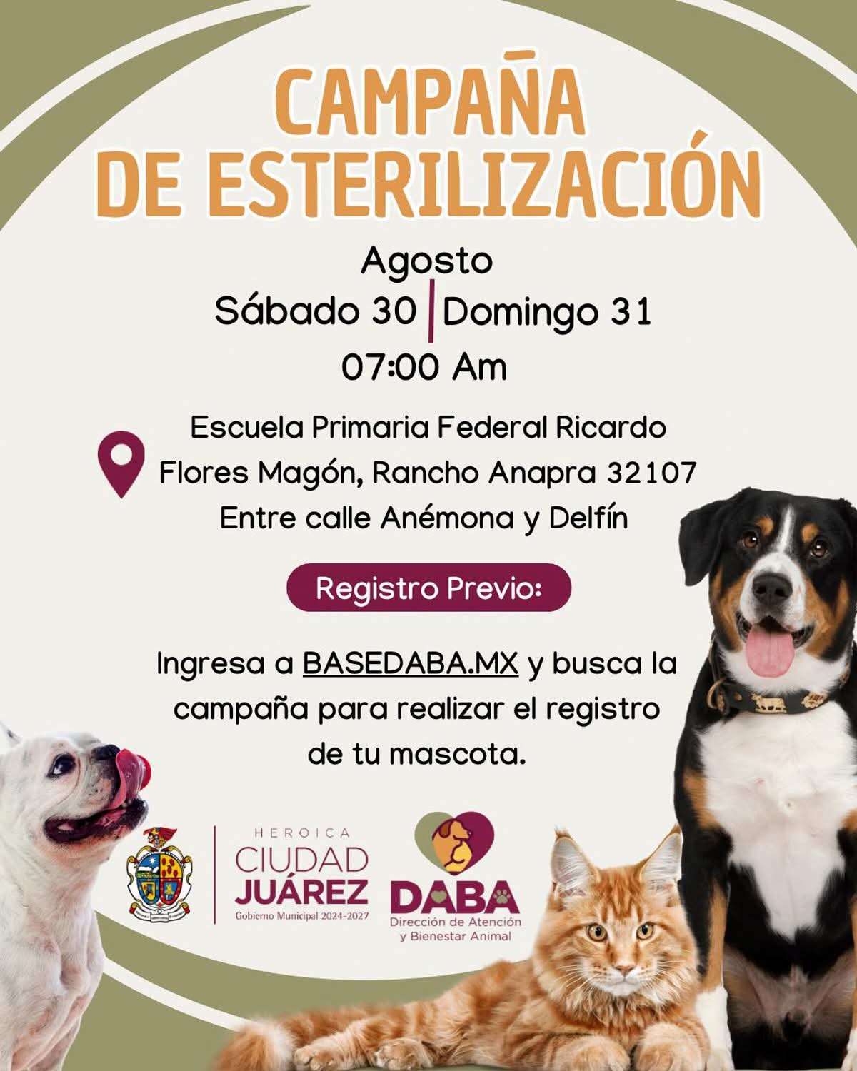 Esterilizarán gratis a mascotas en Anapra el fin de semana