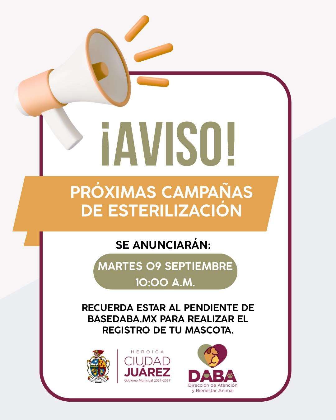 Continuará Bienestar Animal con esterilización gratuita 