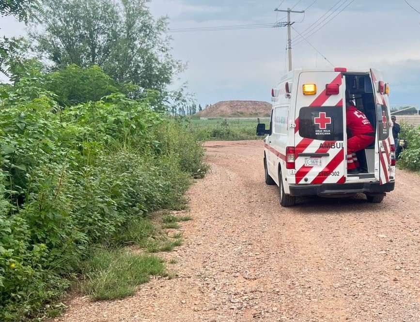Muere niño atropellado en Cuauhtémoc
