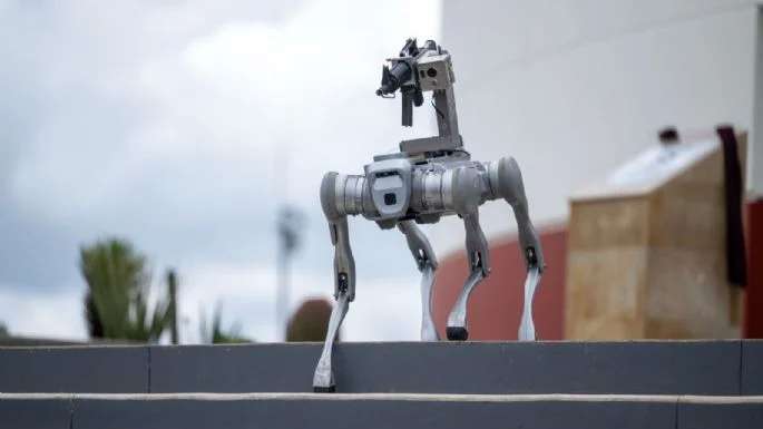 Vigilará perro robot Zacatecas; puede portar armas y realizar rescates
