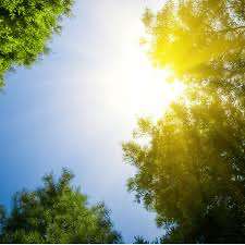 Prevalece el clima soleado en Juárez