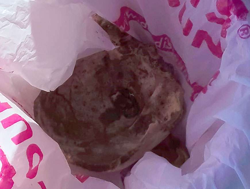 Hallan cráneo humano en San Agustín