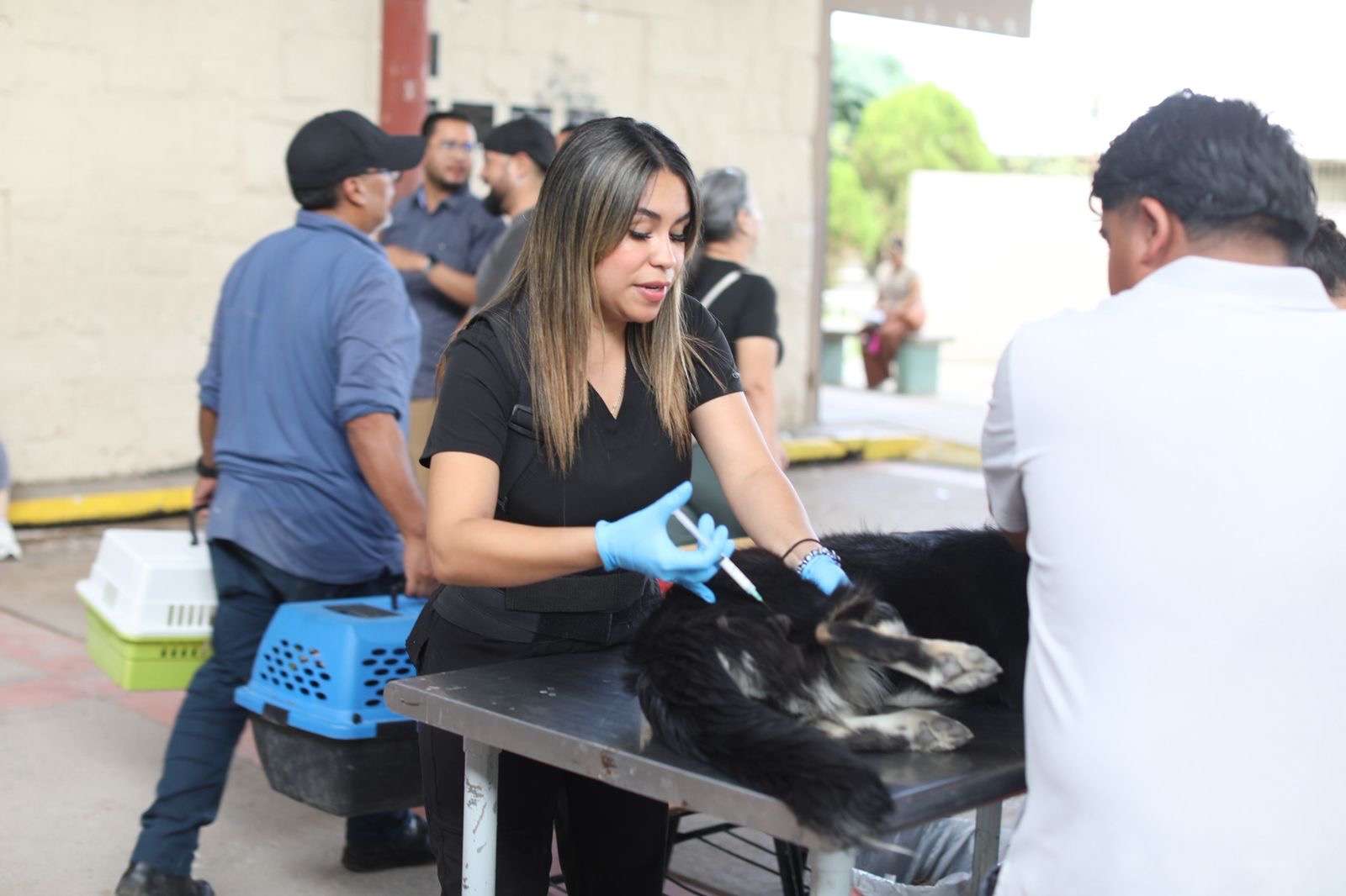 Acude alcalde a campaña de esterilización en la Estatal 2