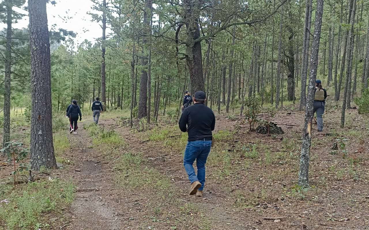 Hallan restos óseos durante rastreo en Balleza