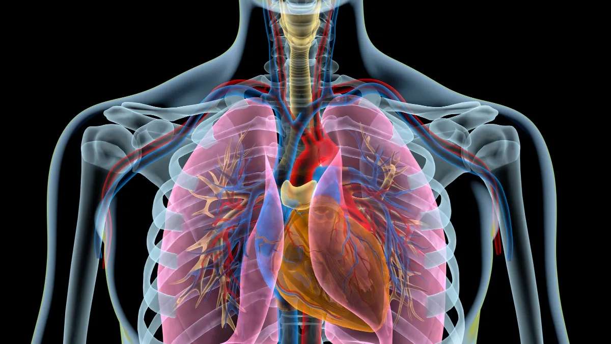 Envejecen los pulmones más rápido de lo que se pensaba 