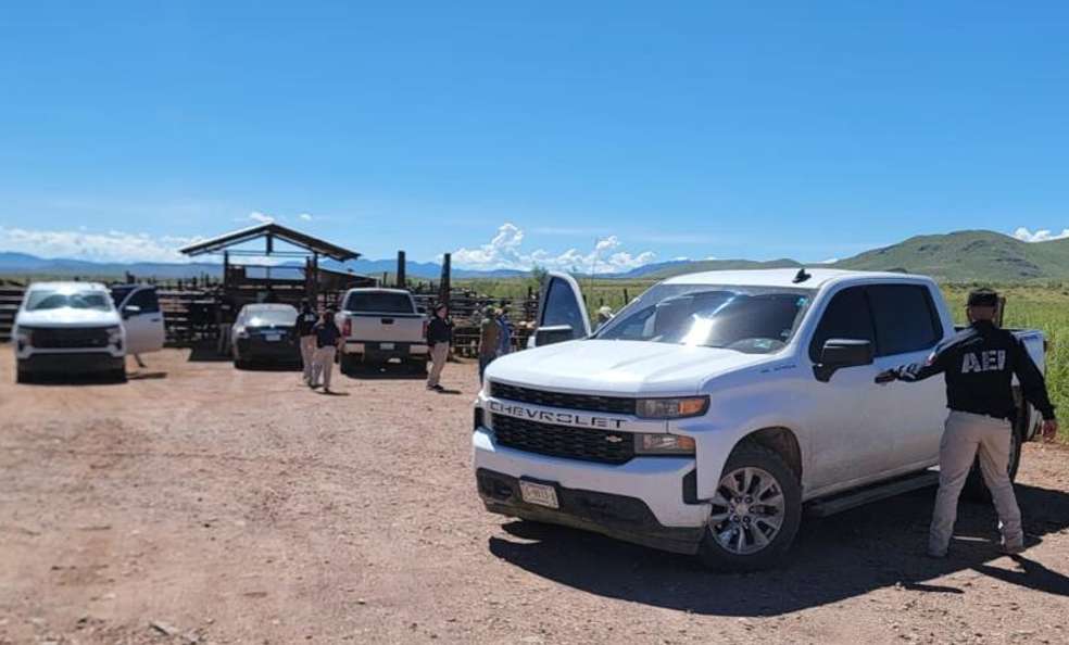 Aseguran cabezas de ganado robadas en Casas Grandes