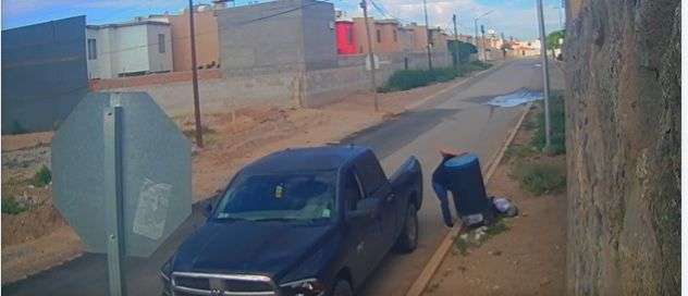Detectan al cochino de la semana en la Valle del Sol