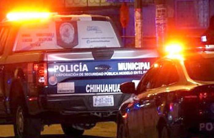 Embolsan mata-mascotas gatos muertos en Quintas Montecarlo