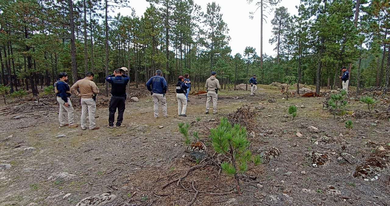Rastrean en El Vergel por búsqueda de desaparecidos