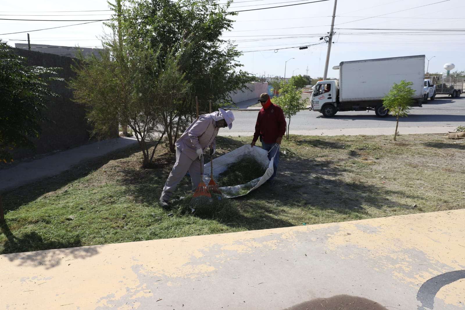 Realiza labores de mantenimiento en el parque Oasis de Nápoles