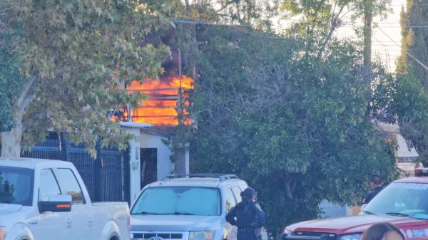 Arde casa en la Dale; muere quemada una mascota | La Opción de Chihuahua