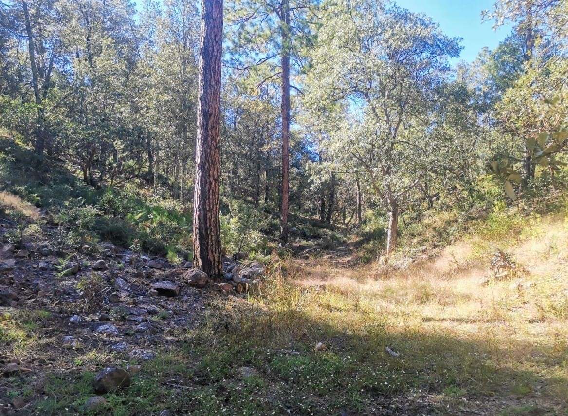 Hallan una osamenta en Madera