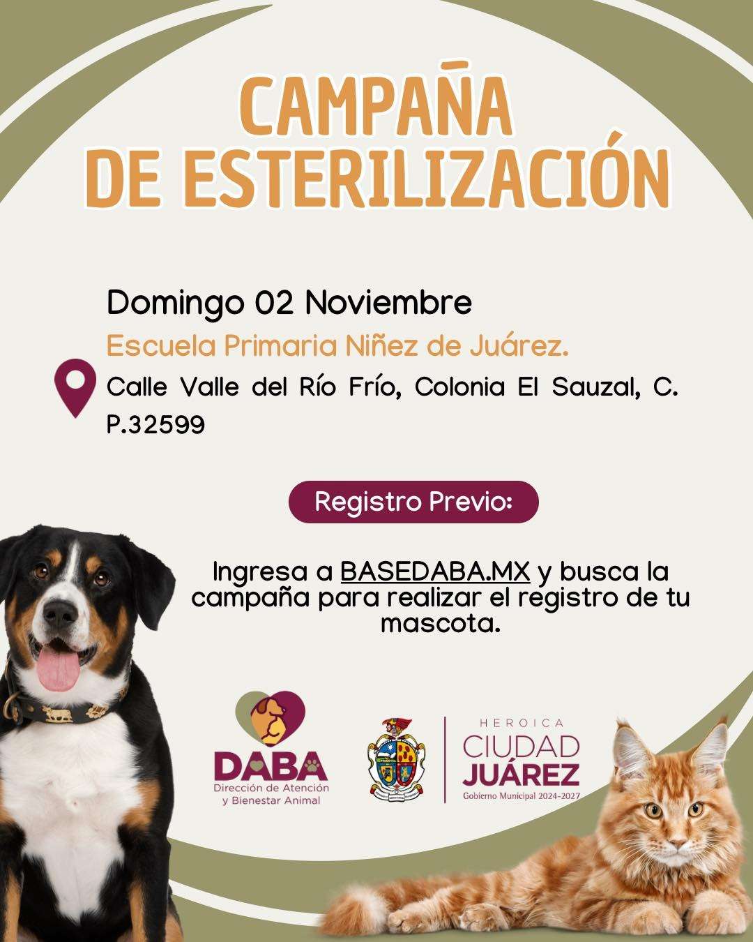 Esterilizan gratis a mascotas este fin de semana 