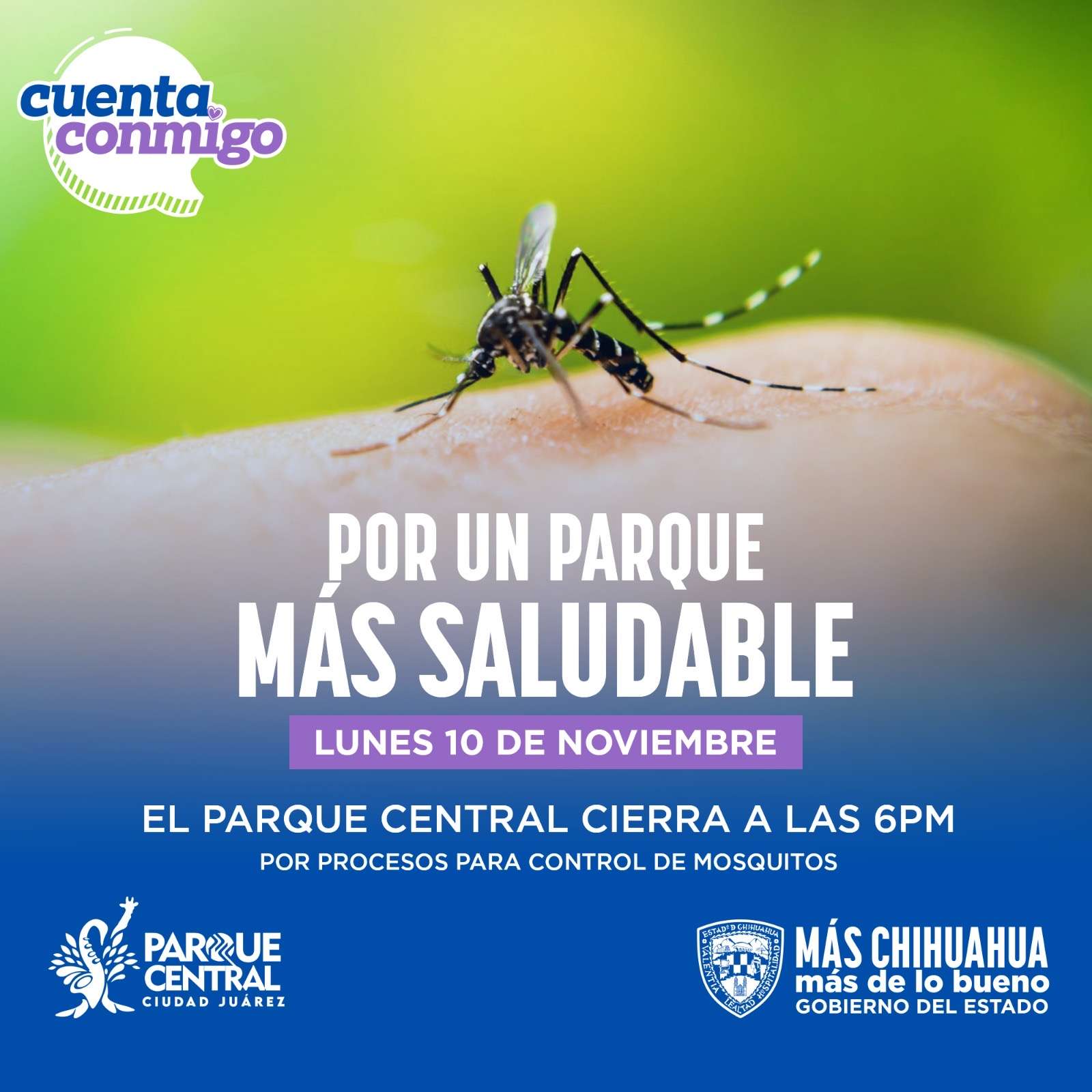 Fumigarán el Parque Central