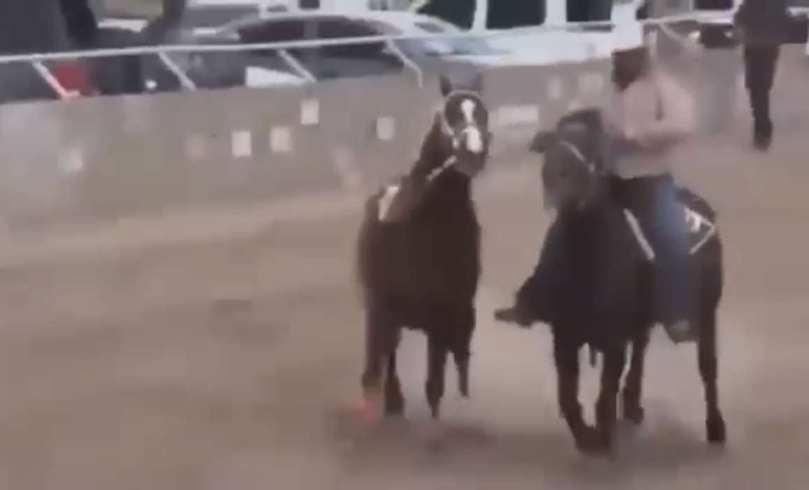 Video: Así fue la ejecución de 7 en carrera de caballos