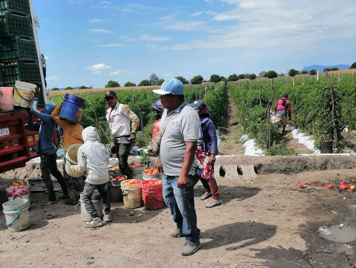 Al menos nueve jornaleros mueren en un accidente de tráfico en Guanajuato
