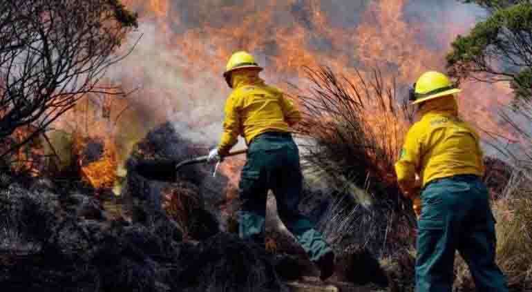 Provoca guerra del Cártel de Sinaloa la peor temporada de incendios en la última década

