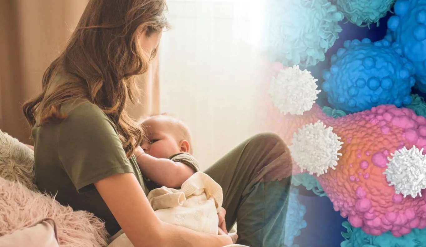 Lactar, un escudo inmunitario que persiste durante décadas