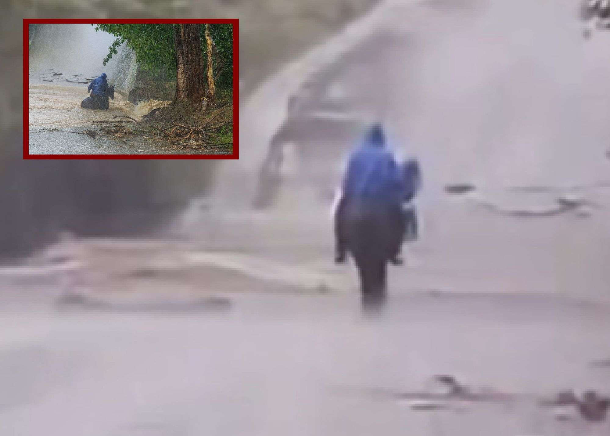 Mueren hombre y caballo arrastrados por lluvias en Veracruz