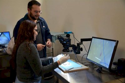Precisan a la IA como herramienta de apoyo, no sustituto del médico