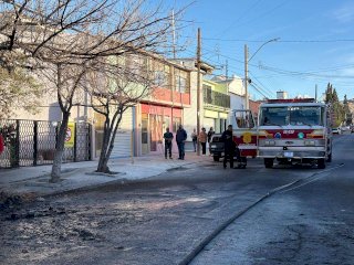 Prenden ebrios fuego a palmera y dañan automóvil
