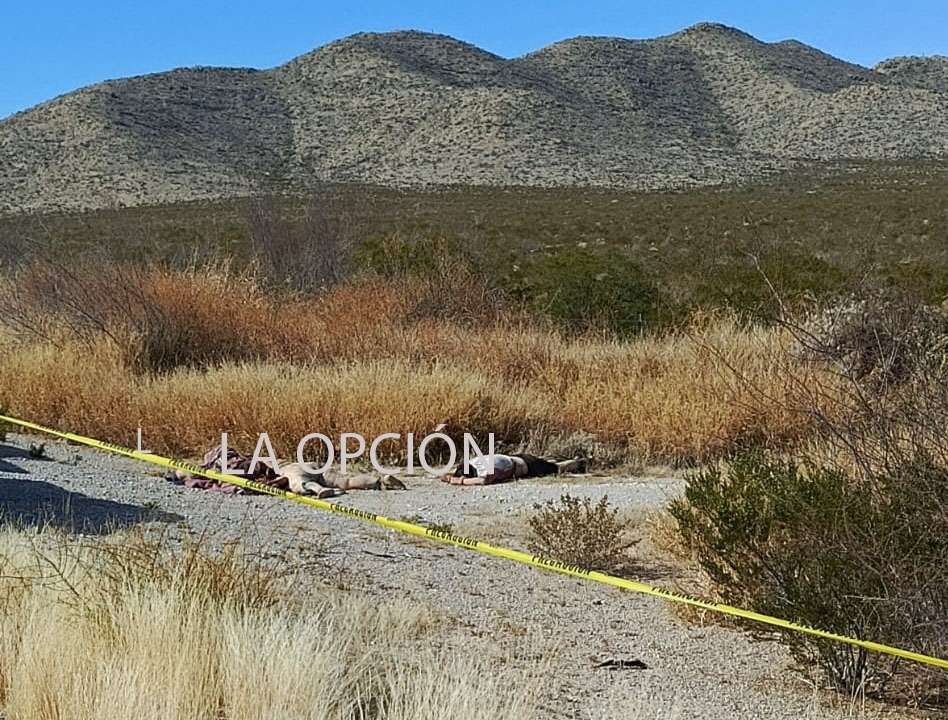 Hallan 3 muertos en la carretera a Ojinaga