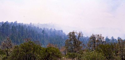 Baja la temperatura en Temósachic a -6.2 grados centígrados
