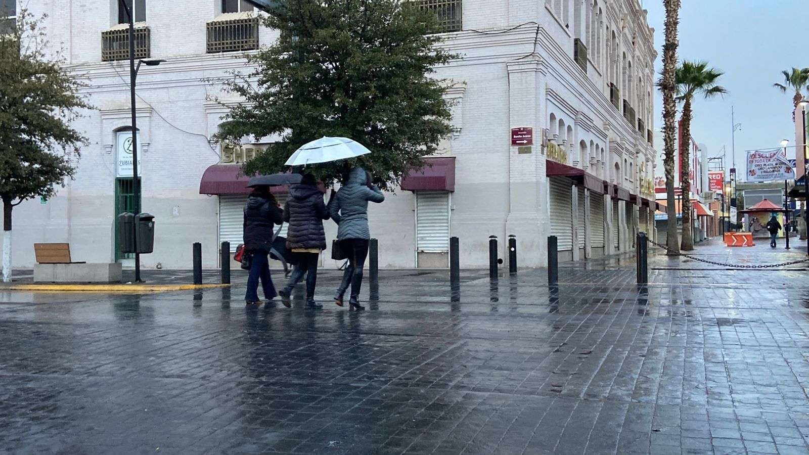Sacan paraguas y chamarras ante bajas temperaturas