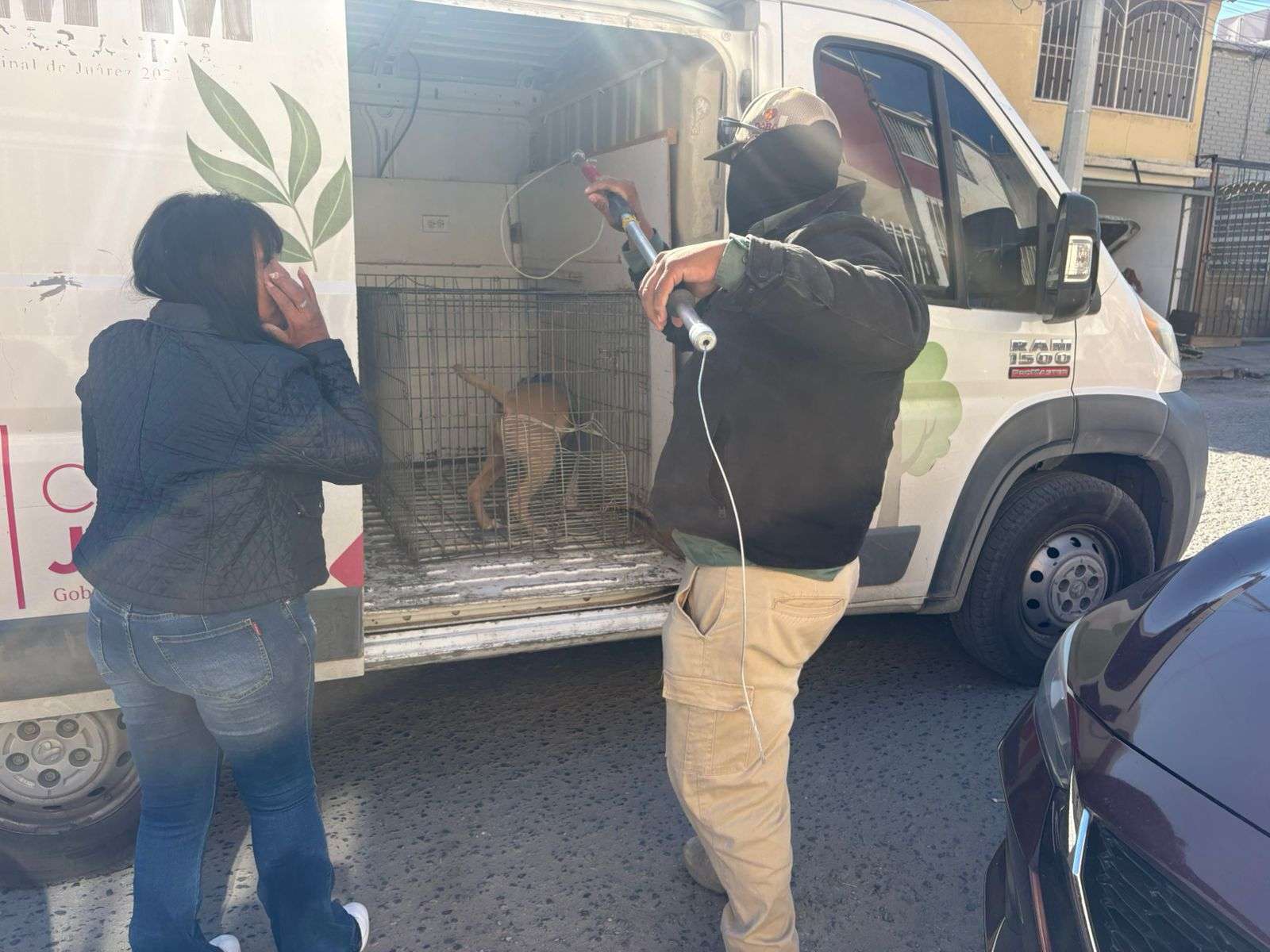 Lo arrestan por golpear a su perro con una manguera metálica