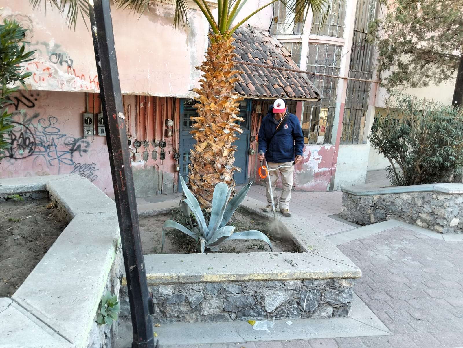 Limpian y podan árboles en la Plaza Tin Tan