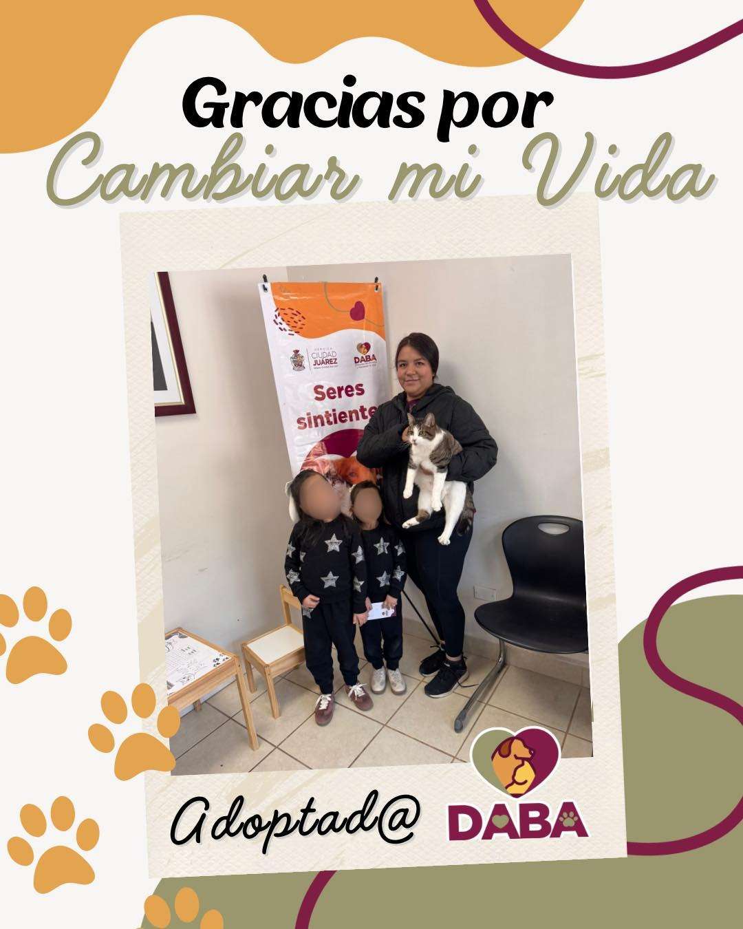 Rompe récord DABA con 18 adopciones en una semana