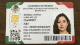 Son Registro Civil y plataforma del Renapo sedes para tramitar la Curp biométrica