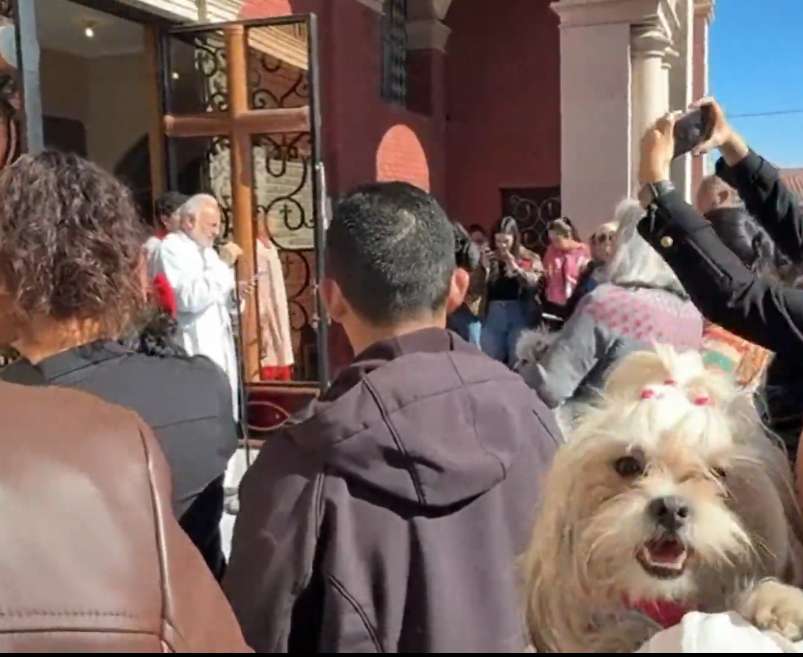 Tradición de fe y cuidado animal reúne a familias en San Lorenzo