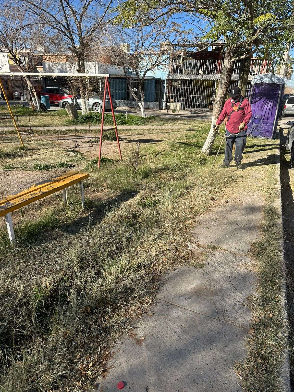 Dan mantenimiento a áreas verdes de la ciudad