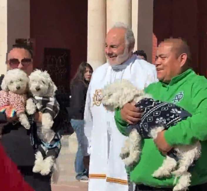 Tradición de fe y cuidado animal reúne a familias en San Lorenzo